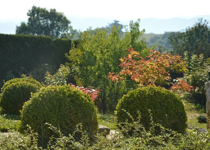 Maple Place